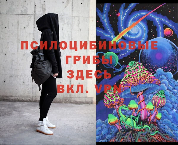 герыч Алексин